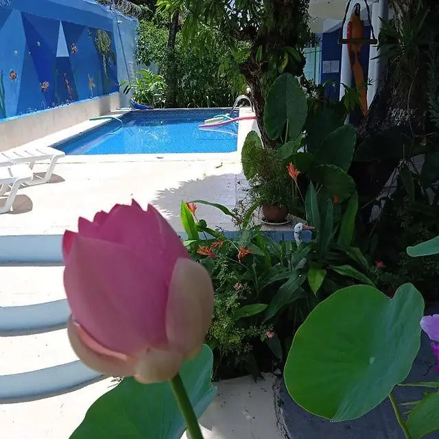 Porto Bahia Hotel Porto Seguro